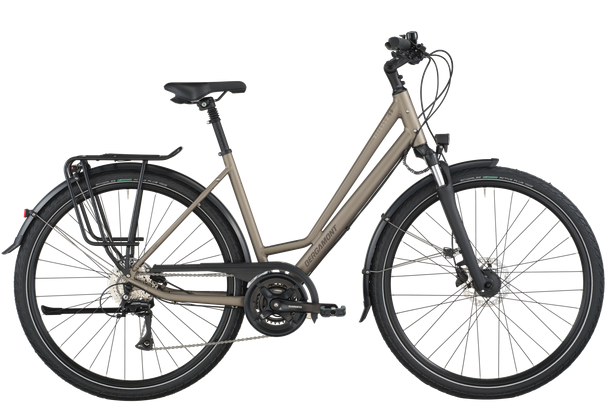 vitesse-50-bergamont-1